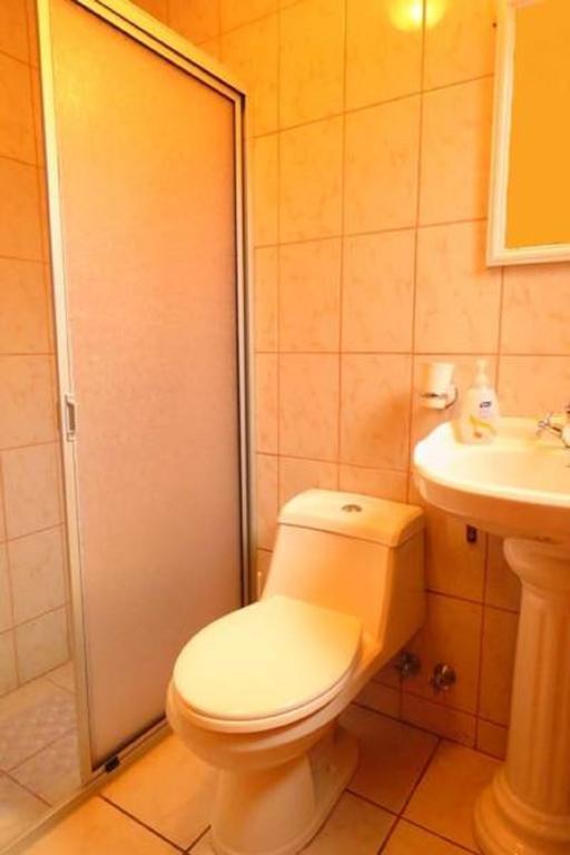 Apart-Hotel Colonia-Koenigsberg Estacionamiento Deptos Completos Ubicado En El Centro De Valdivia Aire Acondicionado Εξωτερικό φωτογραφία